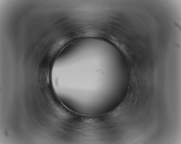 X0000096400062200801311400