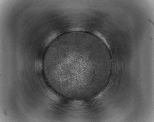 X0000096400063200801311400