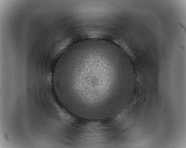 X0000096400066200801311400