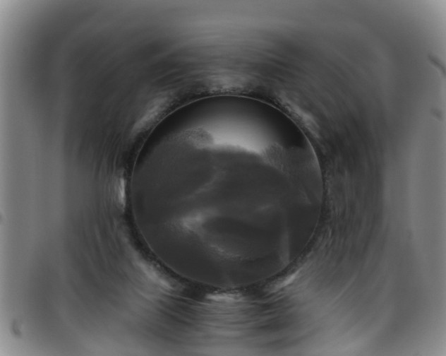 X0000096400067200801311400