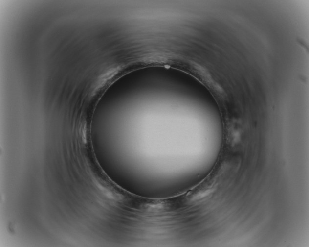 X0000096400068200801311400