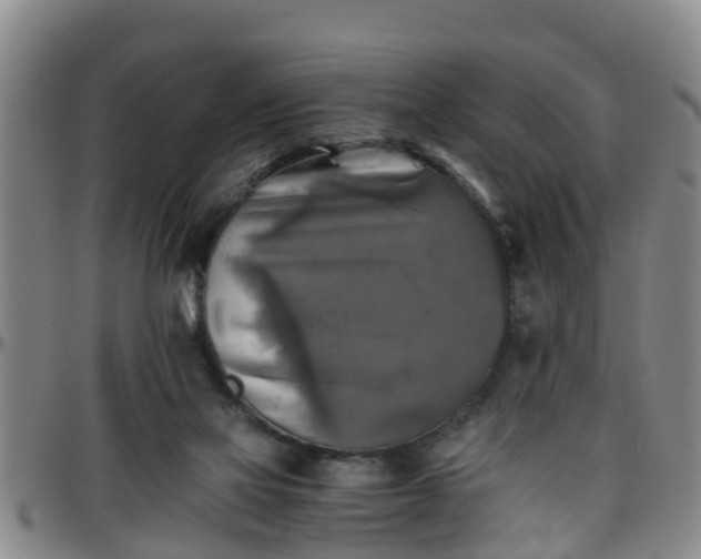 X0000096400069200801311400