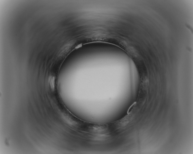 X0000096400070200801311400