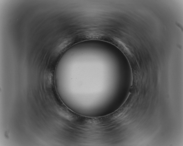 X0000096400071200801311400