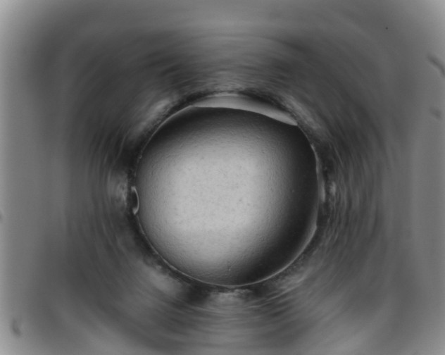 X0000096400072200801311400