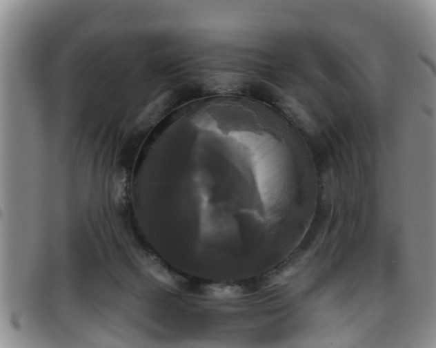 X0000096400073200801311400