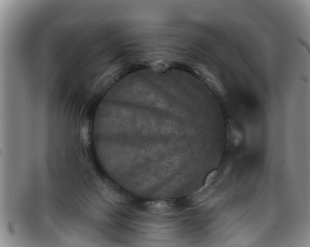 X0000096400074200801311400