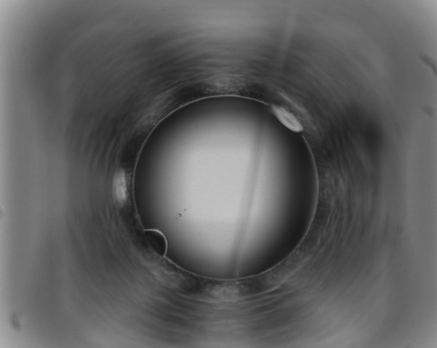 X0000096400075200801311400