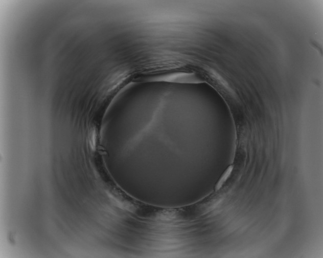 X0000096400076200801311400