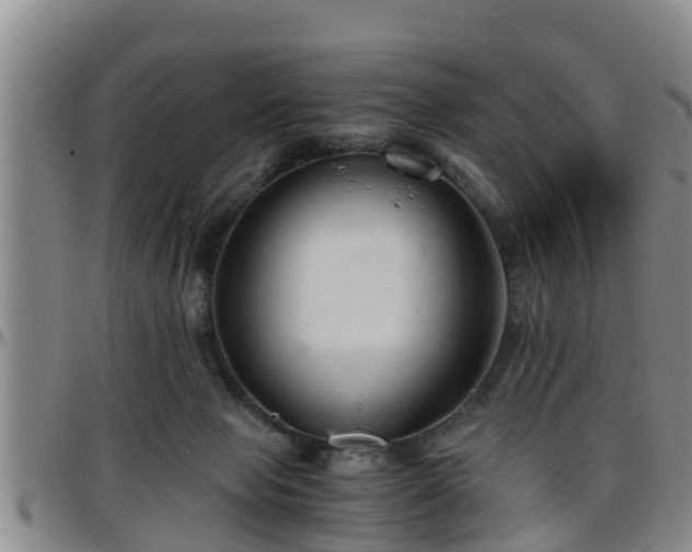 X0000096400077200801311400