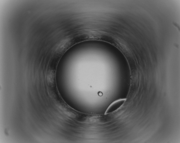 X0000096400078200801311400