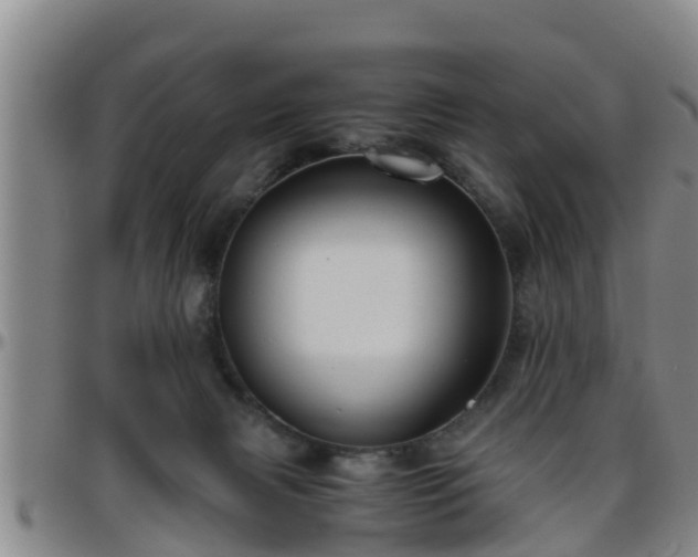 X0000096400079200801311400