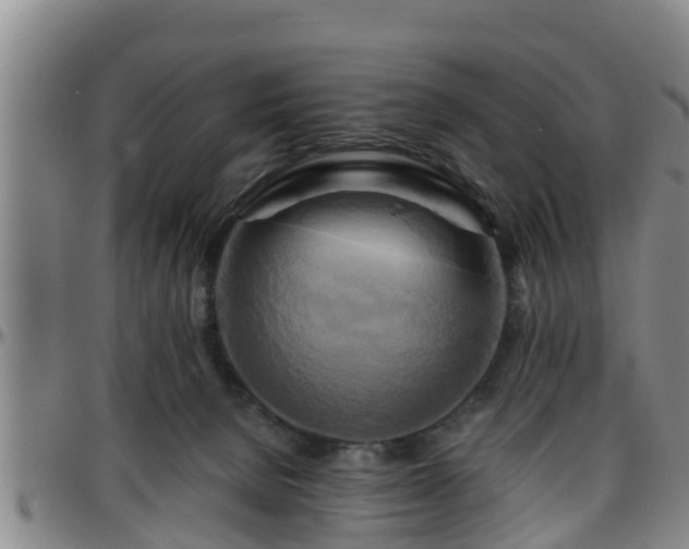 X0000096400080200801311400