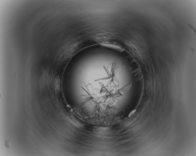 X0000096400081200801311400