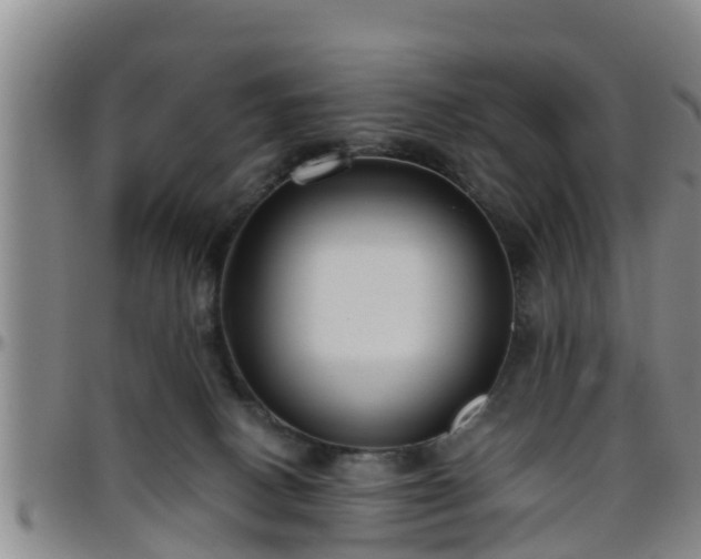 X0000096400082200801311400