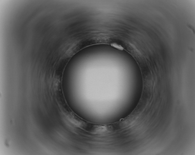 X0000096400083200801311400