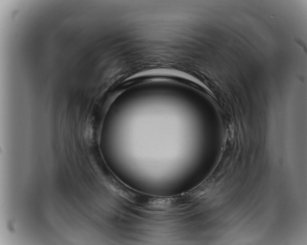 X0000096400084200801311400