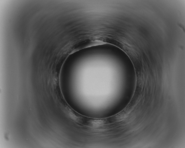 X0000096400085200801311400