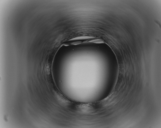 X0000096400086200801311400