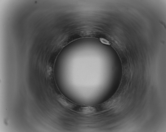 X0000096400087200801311400