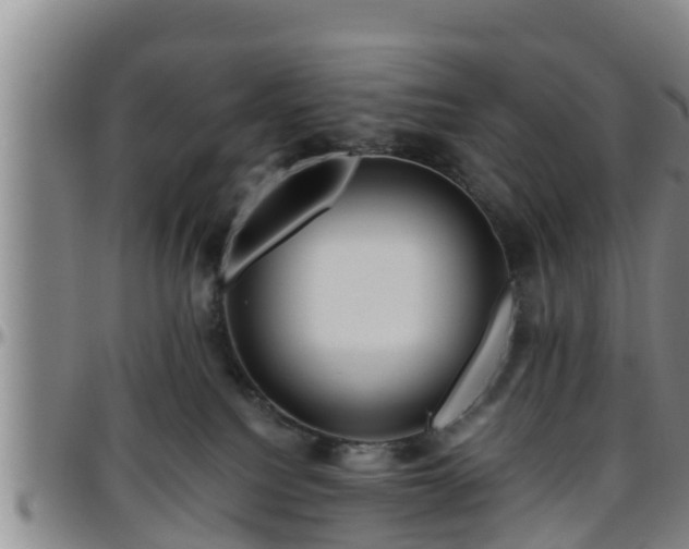 X0000096400088200801311400