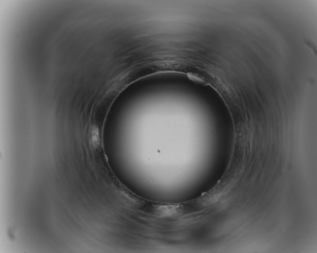 X0000096400089200801311400