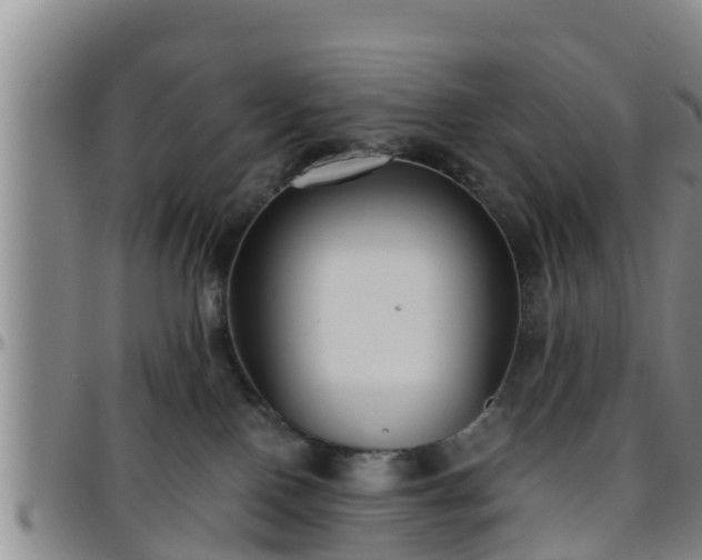 X0000096400090200801311400