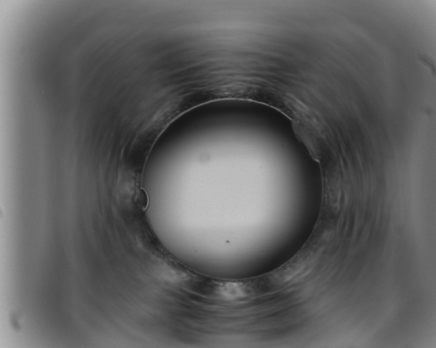 X0000096400091200801311400