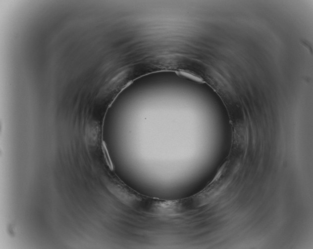 X0000096400092200801311400