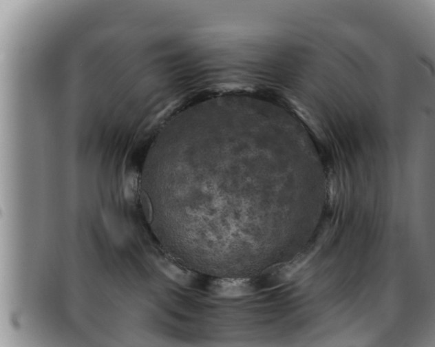 X0000096400093200801311400