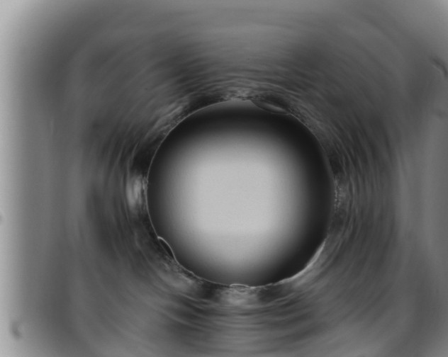 X0000096400094200801311400