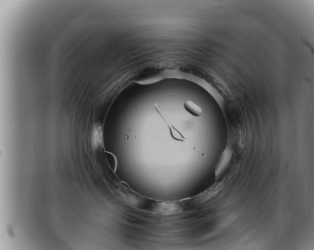 X0000096400095200801311400