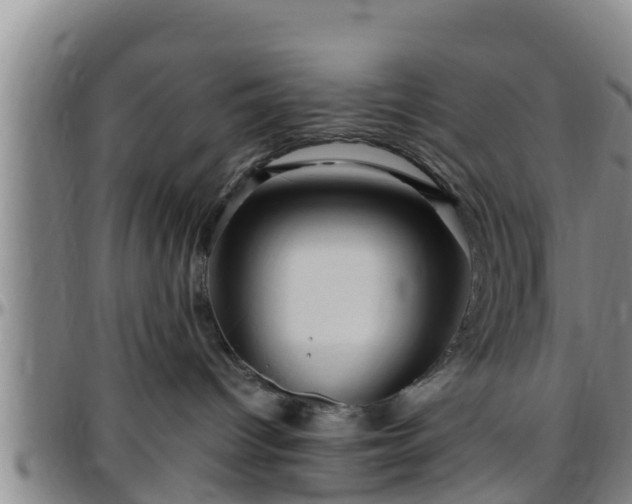 X0000096400096200801311400