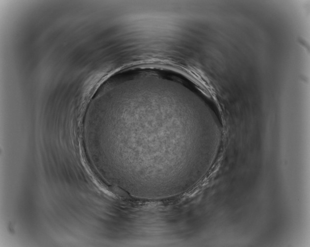 X0000096400097200801311400