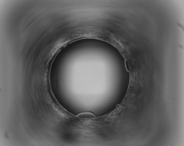 X0000096400098200801311400