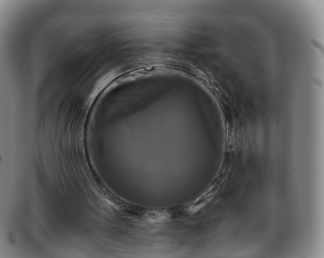 X0000096400099200801311400