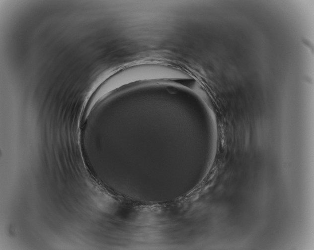 X0000096400100200801311400