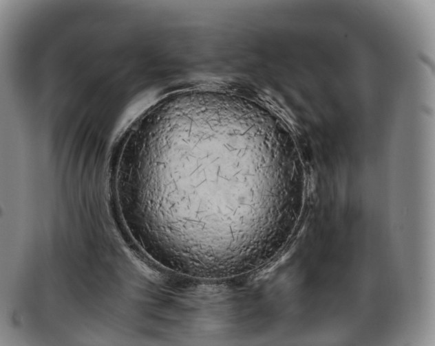 X0000096400101200801311400
