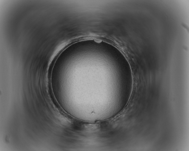 X0000096400102200801311400