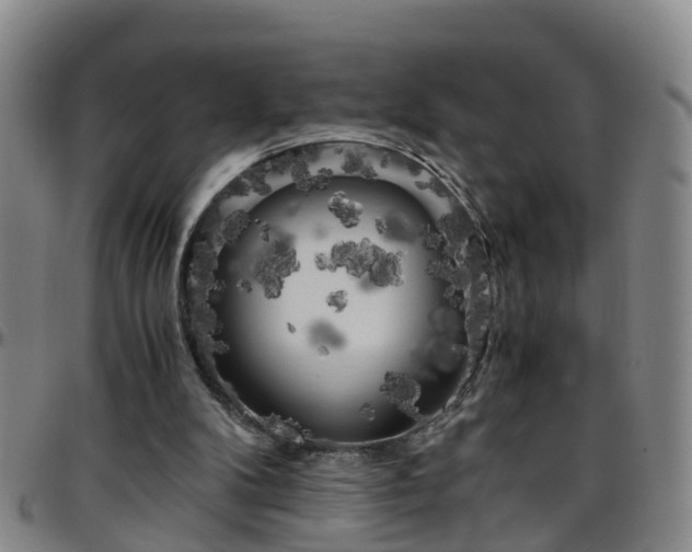 X0000096400104200801311359