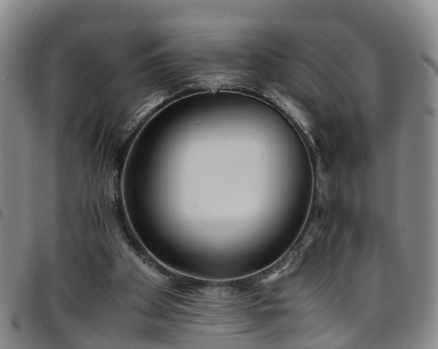 X0000096400105200801311359