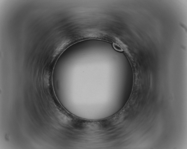 X0000096400106200801311359