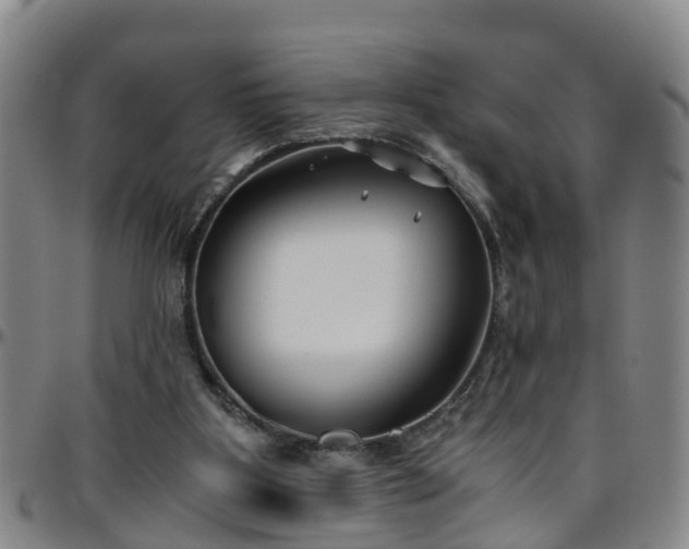 X0000096400107200801311359