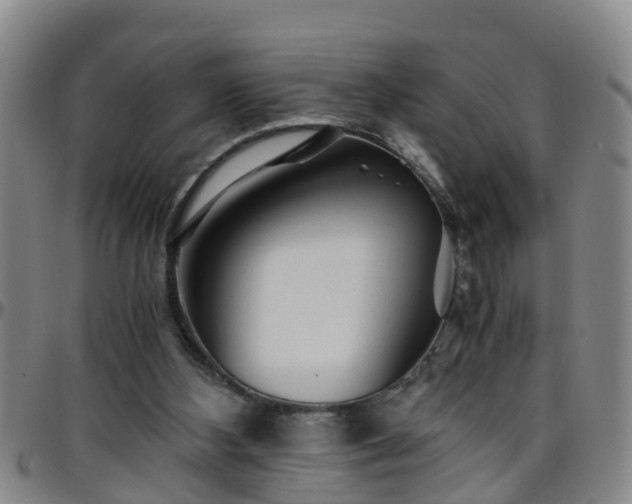 X0000096400108200801311359