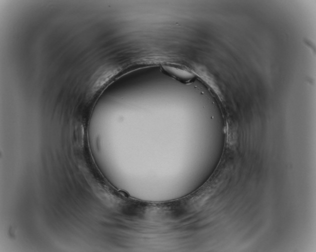 X0000096400109200801311359