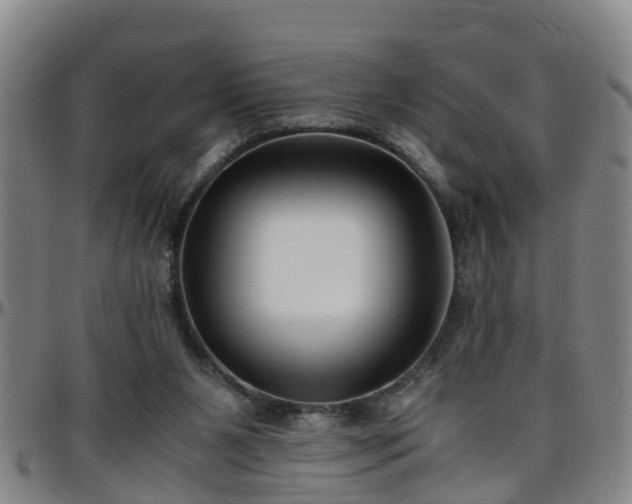 X0000096400111200801311359