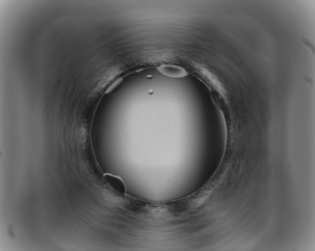 X0000096400113200801311359