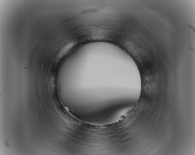 X0000096400116200801311359