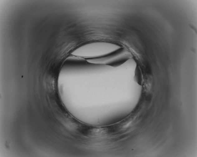 X0000096400117200801311359