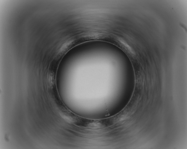 X0000096400119200801311359